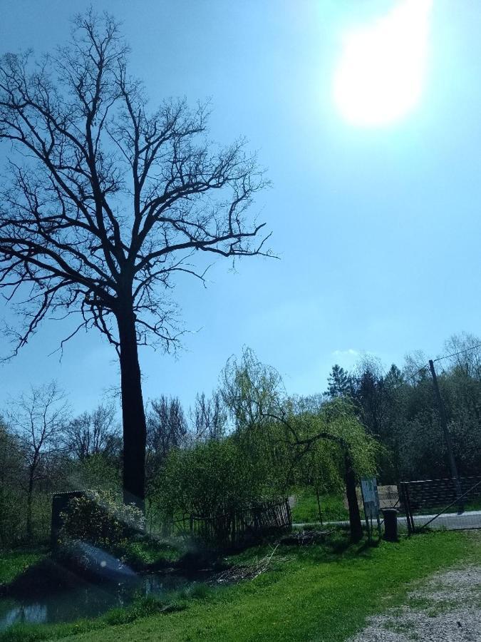 Penzion Litohlavy 17 - Na Samote U Lesa Králŭv Dvŭr Exterior foto