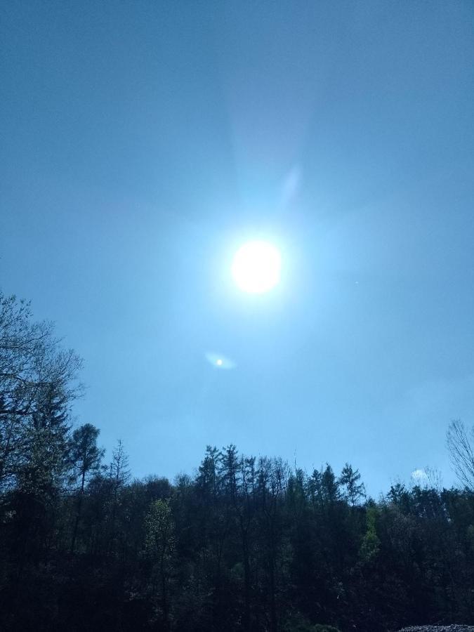 Penzion Litohlavy 17 - Na Samote U Lesa Králŭv Dvŭr Exterior foto